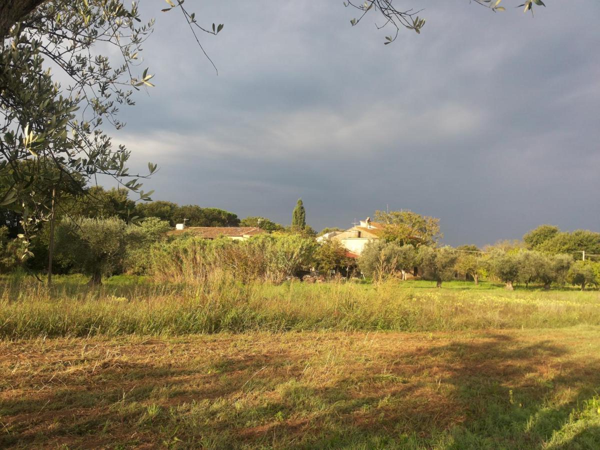Casa Daria, Armonia Del Passato Nel Rispetto Della Natura Donoratico Buitenkant foto