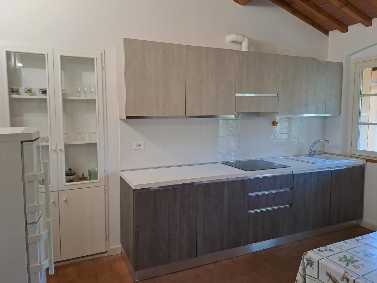 Casa Daria, Armonia Del Passato Nel Rispetto Della Natura Donoratico Buitenkant foto